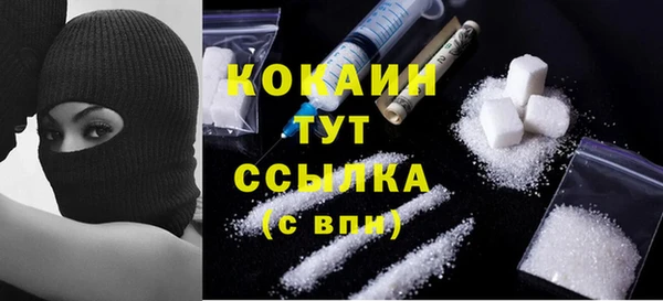 мдпв Горнозаводск