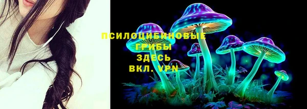 хмурый Горно-Алтайск