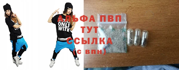 хмурый Горно-Алтайск