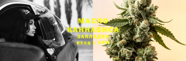 хмурый Горно-Алтайск