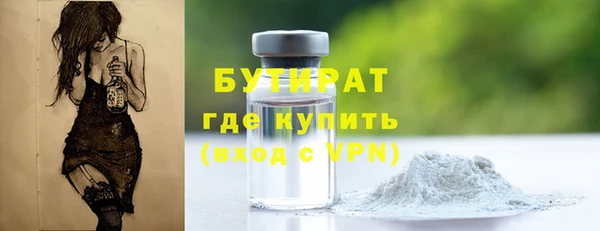 гидра Гусиноозёрск