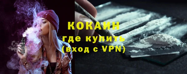 мдпв Горнозаводск