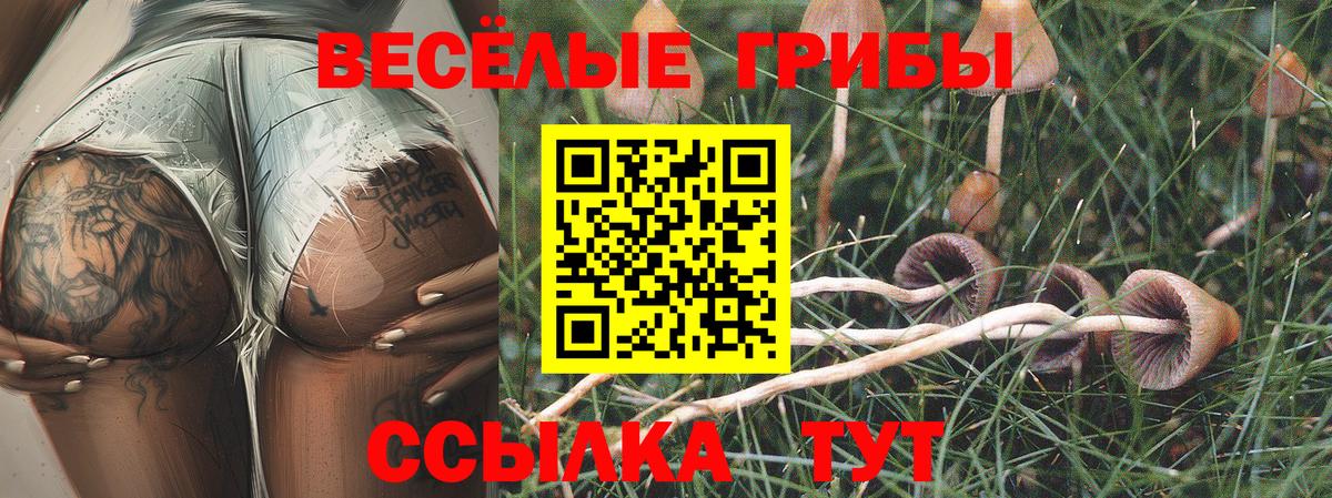 Выборг  Галлюциногенные грибы Magic Shrooms  Вход с VPN 