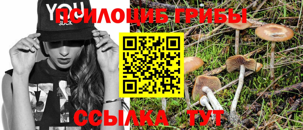 Галлюциногенные грибы ЛСД  Выборг  Галлюциногенные грибы Cubensis 