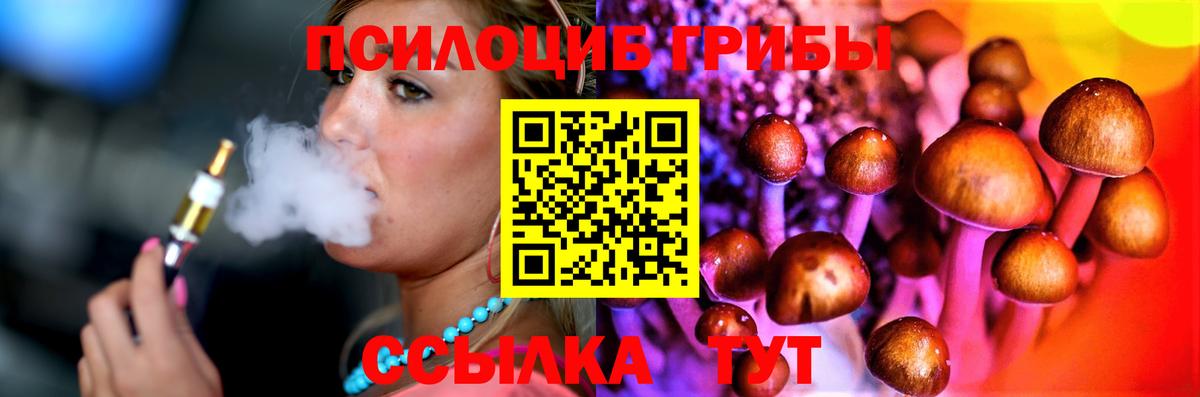 Псилоцибиновые грибы Psilocybine cubensis Выборг