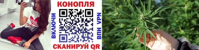 МАРИХУАНА MAZAR  где найти наркотики  Выборг 