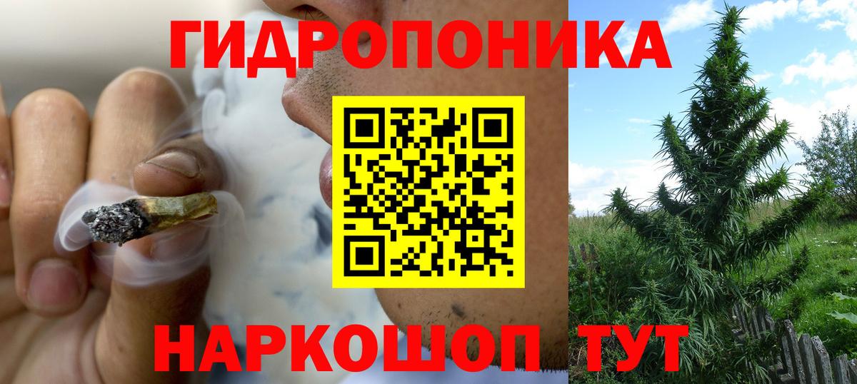 Шишки марихуана марихуана Выборг